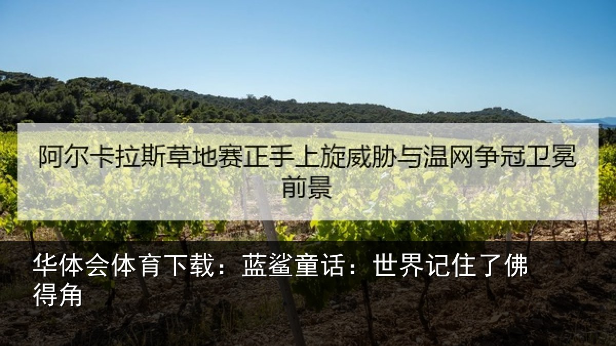 华体会体育下载：蓝鲨童话：世界记住了佛得角