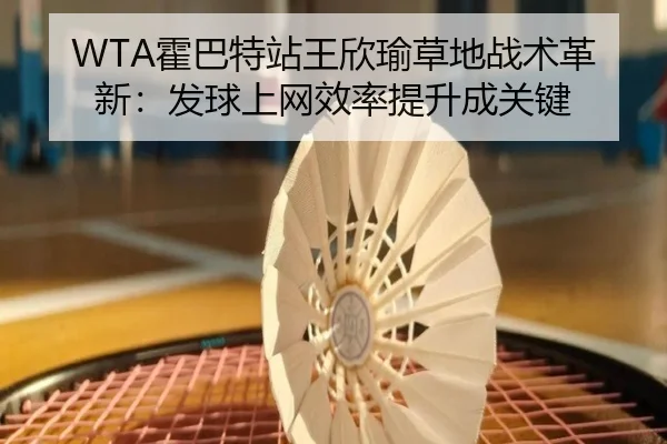 huo-ba-te-zhan-wang-xin-yu-cao-di-zhan-shu-ge-xin-fa-qiu-shang-wang-xiao-lv-ti-sheng-cheng-guan-jian-2-250.jpg