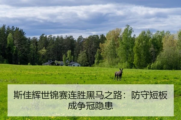斯佳辉世锦赛连胜黑马之路：防守短板成争冠隐患