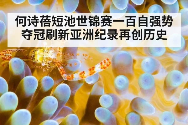 何诗蓓短池世锦赛一百自强势夺冠刷新亚洲纪录再创历史