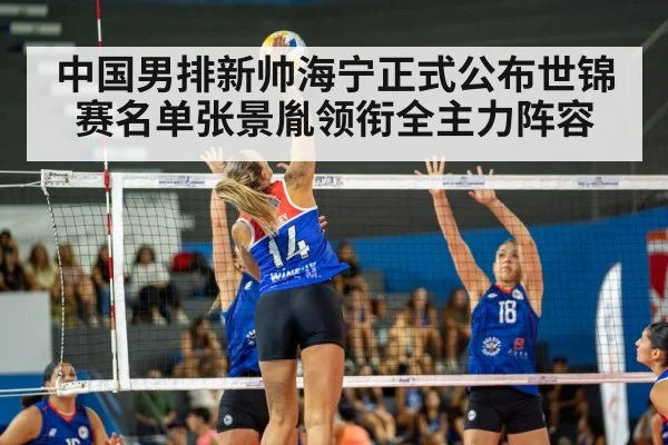 volleyball match